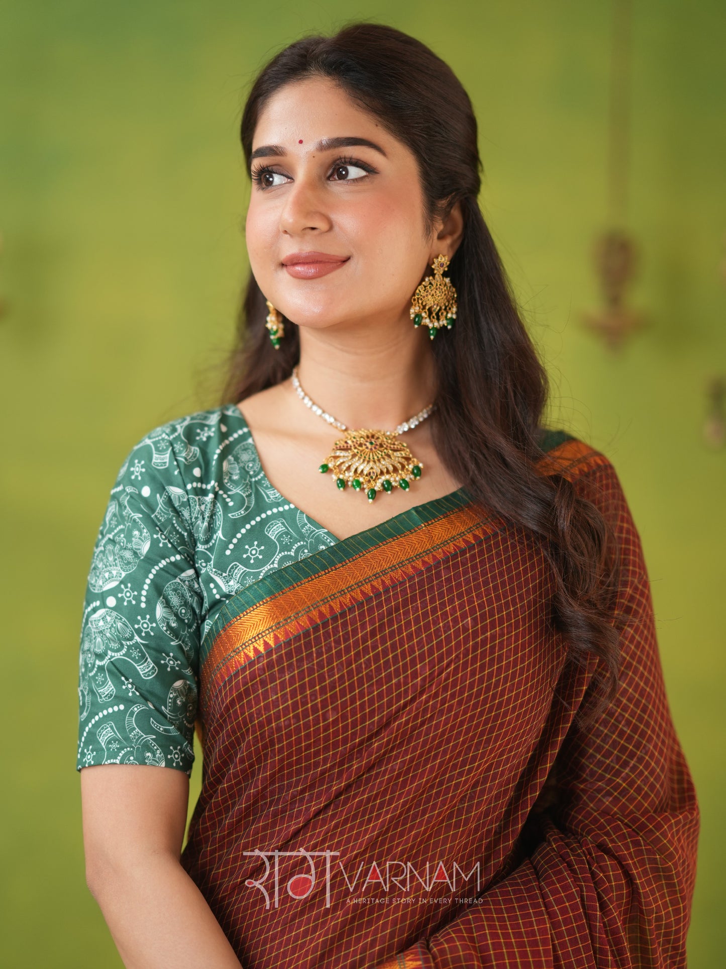 Narayanpet Brown Cotton Saree by Raag Varnam | Mercerized Finish With 2 Blouses Included