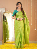 Raag Varnam Pista Green Handloom Tissue Saree With Designer Blouse
